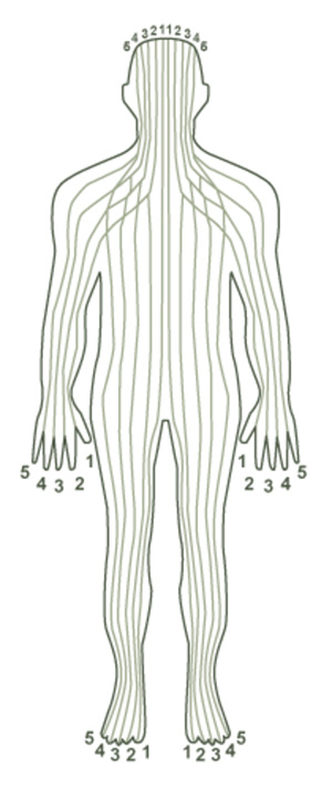 théorie des zones